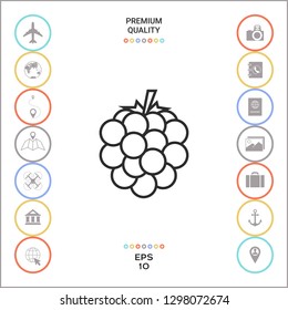 Raspberry, blackberry line icon. Graphic elements for your design