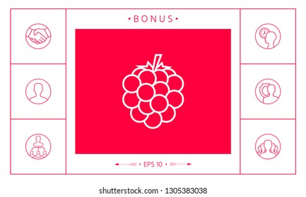 Raspberry, blackberry line icon. Graphic elements for your design
