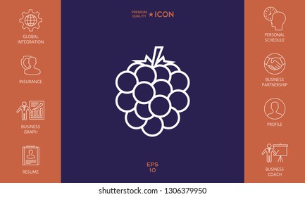 Raspberry, blackberry line icon. Graphic elements for your design