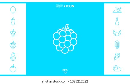 Raspberry, blackberry line icon. Graphic elements for your design