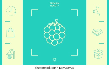 Raspberry, blackberry line icon. Graphic elements for your design