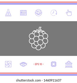 Raspberry, blackberry line icon. Graphic elements for your design