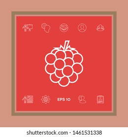 Raspberry, blackberry line icon. Graphic elements for your design