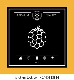 Raspberry, blackberry line icon. Graphic elements for your design