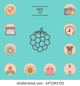 Raspberry, blackberry line icon. Graphic elements for your design