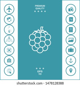 Raspberry, blackberry line icon. Graphic elements for your design