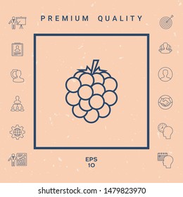 Raspberry, blackberry line icon. Graphic elements for your design