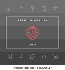 Raspberry, blackberry line icon. Graphic elements for your design