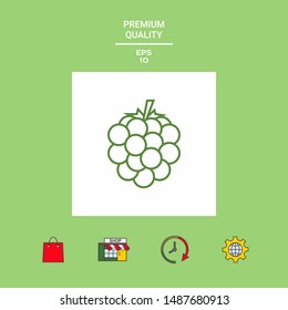 Raspberry, blackberry line icon. Graphic elements for your design