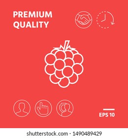 Raspberry, blackberry line icon. Graphic elements for your design