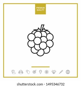 Raspberry, blackberry line icon. Graphic elements for your design