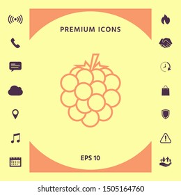Raspberry, blackberry line icon. Graphic elements for your design