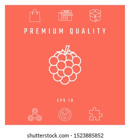 Raspberry, blackberry line icon. Graphic elements for your design