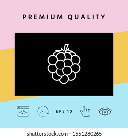 Raspberry, blackberry line icon. Graphic elements for your design