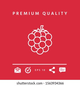 Raspberry, blackberry line icon. Graphic elements for your design