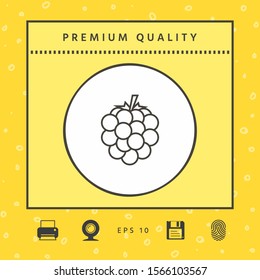 Raspberry, blackberry line icon. Graphic elements for your design