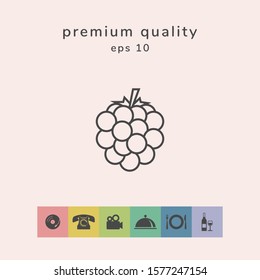 Raspberry, blackberry line icon. Graphic elements for your design