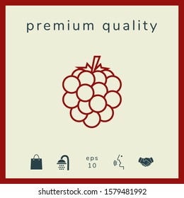 Raspberry, blackberry line icon. Graphic elements for your design