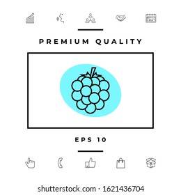 Raspberry, blackberry line icon. Graphic elements for your design