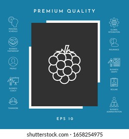 Raspberry, blackberry line icon. Graphic elements for your design