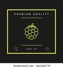 Raspberry, blackberry line icon. Graphic elements for your design