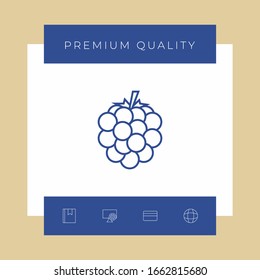 Raspberry, blackberry line icon. Graphic elements for your design