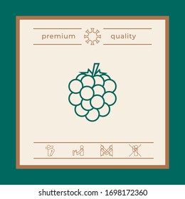 Raspberry, blackberry line icon. Graphic elements for your design