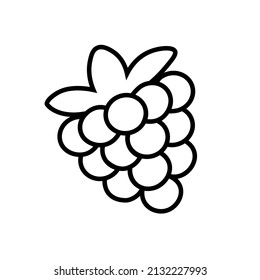 Icono de la línea de mora negra de frambuesa Elementos gráficos para el diseño Contorno imagen vectorial aislada sobre fondo blanco