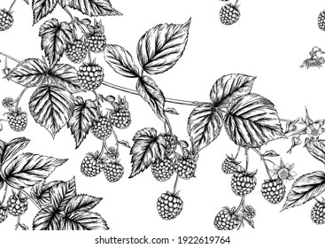 Raspberry Or Blackberry. Ripe Berries On Branch. Seamless Pattern, Background. Graphic Drawing, Engraving Style. Vector Illustration On Black Background.