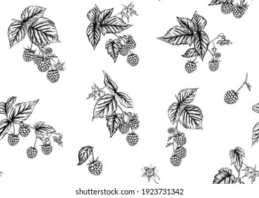 Raspberry or blackberry. Ripe berries on branch. Seamless pattern, background. Graphic drawing, engraving style. Vector illustration on black background.