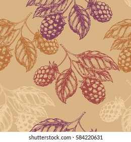 Raspberry blackberry seamless pettern. Vector illustration
