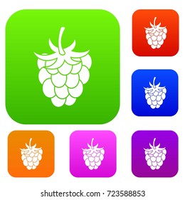 Raspberry or blackberry set icon color in flat style isolated on white. Collection sings vector illustration