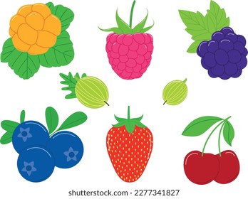Raspberry;  arándano azul; fresa; cerezo y otras bayas, ilustración vectorial