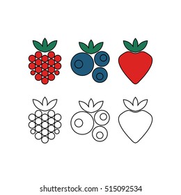 Raspberry, blueberry, strawberry. Forest berries. Vector illustration