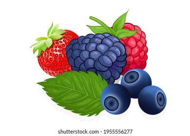 Raspberry, blueberry and strawberry sweet fruit illustration for web isolated on white background