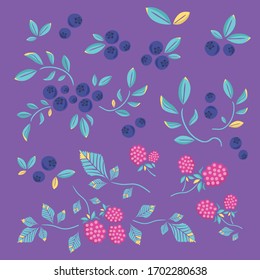 raspberry blueberry vector backgound pattern