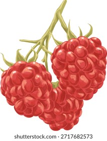 Raspberry Botanical Painting Classic Red Berry Illustration