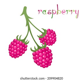 Raspberry Branch. Illustration of brunch fresh ripe raspberry. Crimson berry. Clip art with title. Isolated on white. Vector file is EPS8, all elements are grouped.
