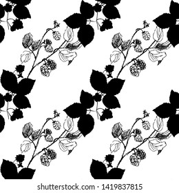 Raspberry branch. Seamless pattern. Vector illustration.