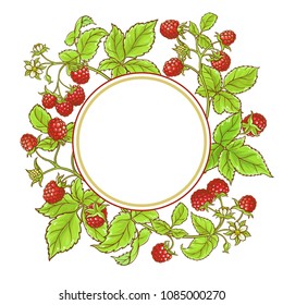 raspberry branch vector frame