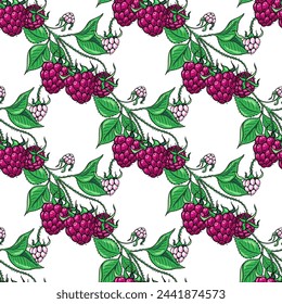 Raspberry branches. Seamless pattern. Color berries. Hand-drawn flat imagets. Design of candies and sweet desserts. Vector illustration on a white background.