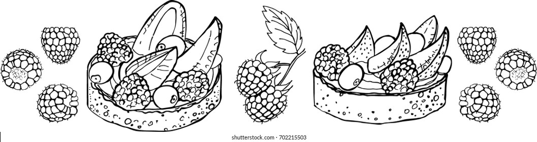 Raspberry and cake with berries and cream isolated on white background. Vector hand drawn illustration. Sweet and beautiful dessert. Set of elements. Perfect for banner.