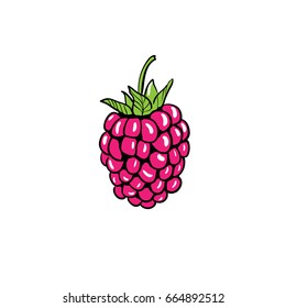 Raspberry cartoon illustration t-shirt print colorful vector