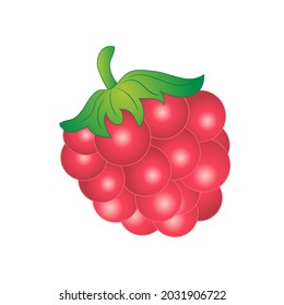 raspberry in cartoon style isolated on transparent background. vector illustration 