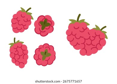Coleção de framboesas. Bagas vermelhas rosa com folhas verdes em diferentes vistas e arranjos. Elementos frescos da baga de verão em estilo de desenho animado plano. Ilustração vetorial isolada sobre fundo branco.