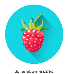 Raspberry Colorful Berry Icon Flat Vector Stock Vector (Royalty Free ...