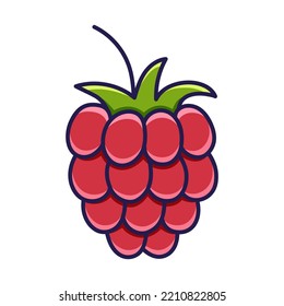 Frambuesa. Icono de contorno colorido de berry roja. Estilo de doodle dibujado a mano. Ilustración vectorial aislada sobre fondo blanco.