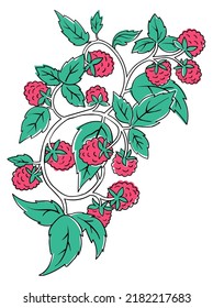 Raspberry Coloring Book element. Black countour on white background. Vector illustration.