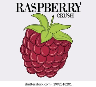 Raspberry crush print design. Fruit vector graphic for apparel. Berry artwork for fashion and others.