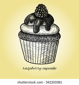 Raspberry cupcake. Sketch. Vector hand-drawn illustration